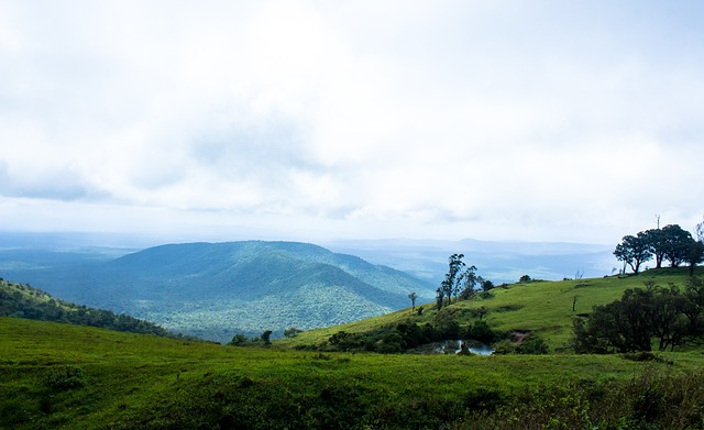 育精神向外 育精神向外