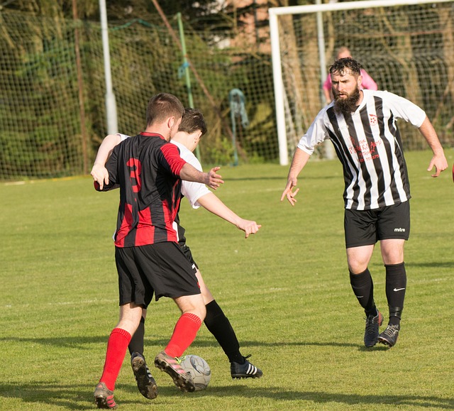 传达了意见 传达了意见