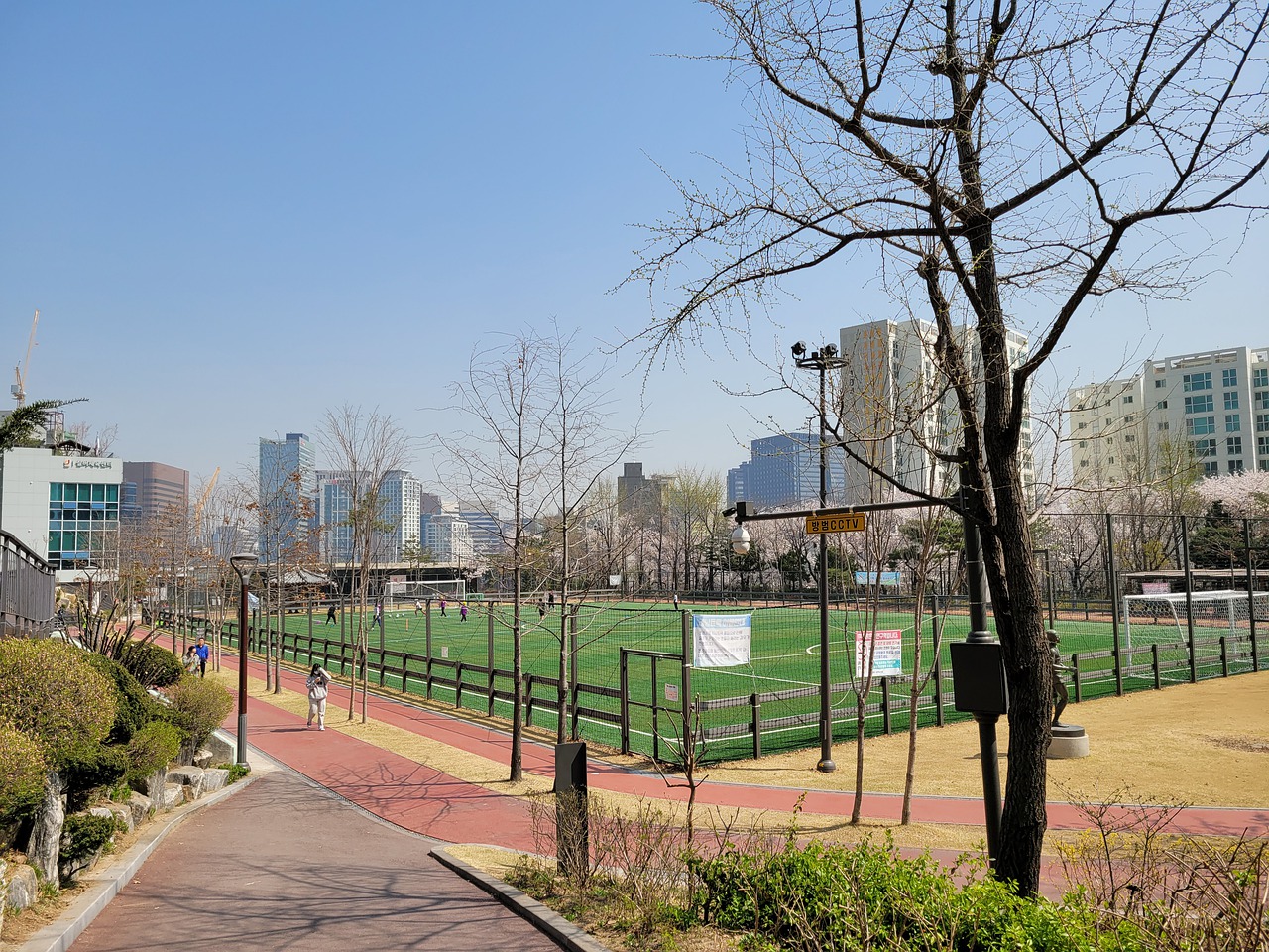 麦汤米尼 麦汤米尼