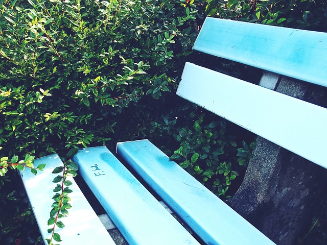 的两个支柱 的两个支柱