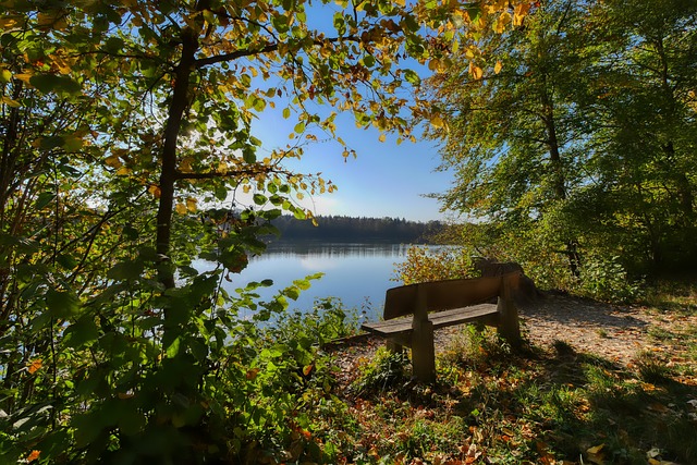 北京的一家 北京的一家